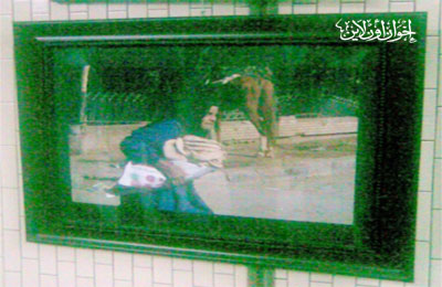 الصورة غير متاحة