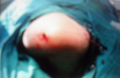 الصورة غير متاحة