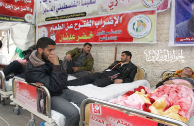 الصورة غير متاحة