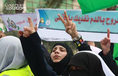 الصورة غير متاحة