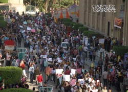 انتفاضة طلاب الجامعات نصرةً لغزة