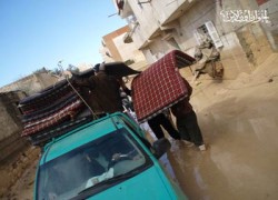 عمليات إغاثة العريش