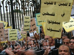 فلسطين تنادي فلبوا الندا