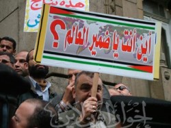 أين أنت يا ضمير العالم؟!