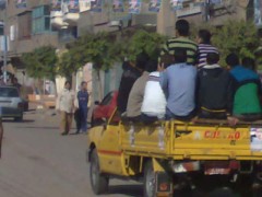 الدقهلية