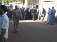 الدقهلية