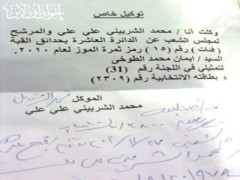 القاهرة