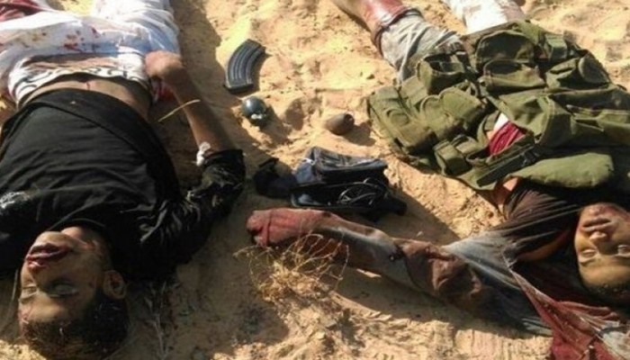 خمس منظمات حقوقية تطالب بتحقيق أممي في قتل الأبرياء بمصر