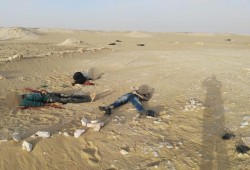 داخلية الانقلاب تعلن اغتيال 11 مواطنا على طريق دشلوط ـ الفرافرة