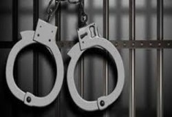 اعتقال نجل الصحفية ميرفت الحسيني أثناء زيارتها بسجن القناطر