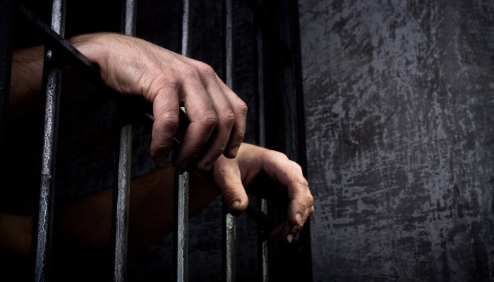 قضاء الانقلاب يجدد حبس علا القرضاوي 45 يومًا