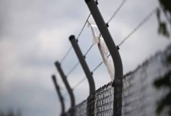 رسالة من الأحرار في سجون الانقلاب: جهاد وتضحية وفردوس