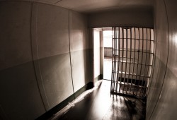 حملة همجية تعتقل 7 مواطنين بالشرقية