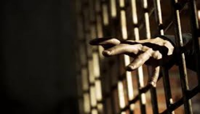 شرطة الانقلاب تعتقل محاسبا وطبيبا بالمنوفية