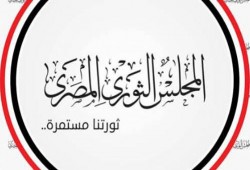 الأمين العام لـ"الثوري المصري": الشارع يغلي والانفجار قادم