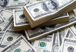 "شعبة المستوردين": الدولار بـ٢٥ جنيهًا خلال أيام