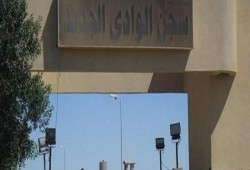 الثعابين.. أسلوب جديد للتعذيب في سجون العسكر