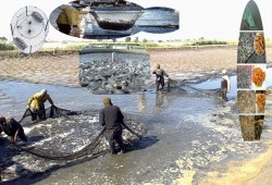 كارثة في أسماك المزارع تهدد حياة المصريين