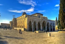 ذكرى حريق الأقصى .. عهد وميثاق