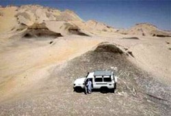 آيات عرابي تدعو المجانين للحجز لأحفادهم في عاصمة السفاح