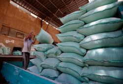 مخابز الفشن تشتكي عدم صلاحية الدقيق للاستخدام الآدمي