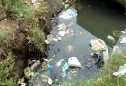 تلوث مياه الري بمخلفات المصانع بالفيوم ينذر بكارثة بيئية