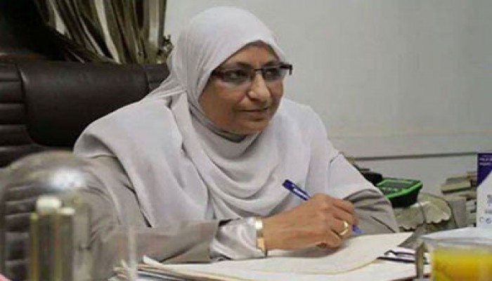 هدى عبد المنعم تندد بمذبحة الانقلاب ضد القضاة الشرفاء