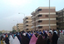 فيديو.. ثوار منوف يواصلون حراكهم الثوري بمسيرة حاشدة