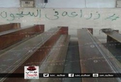 بالصور.. حملة تطالب بالإفراج عن طلاب زراعة الأزهر