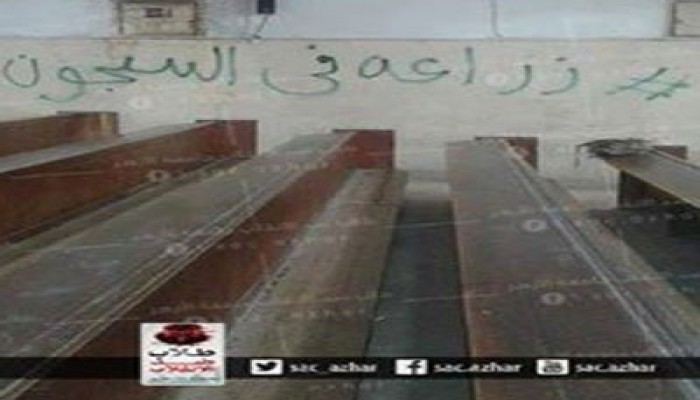 بالصور.. حملة تطالب بالإفراج عن طلاب زراعة الأزهر