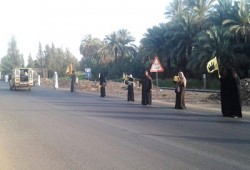 فيديو.. سلسلة بشرية لثوار إدفو تهتف باسقاط حكم العسكر