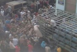 اشتعال أزمة البوتاجاز ببني سويف.. والأسطوانه سعرها 85 جنيهًا