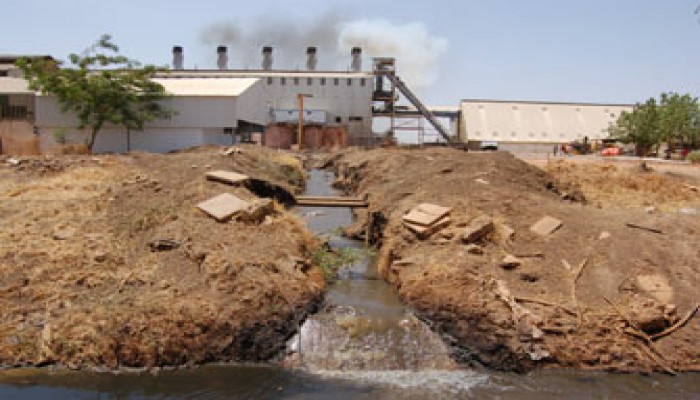 بالفيديو.. كارثة صرف مخلفات مصنع سكر كوم أمبو في النيل