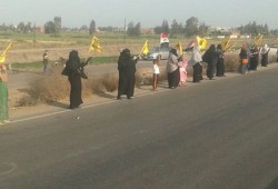 فيديو.. سلاسل بشرية بمركز الحامول تهتف بالقصاص للشهداء