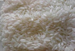 مزارعو أبو كبير يشكون ارتفاع تكاليف زراعة الأرز