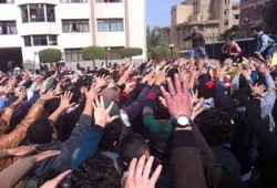 3 فعاليات لطلاب جامعة المنصورة تندد بجرائم الانقلاب
