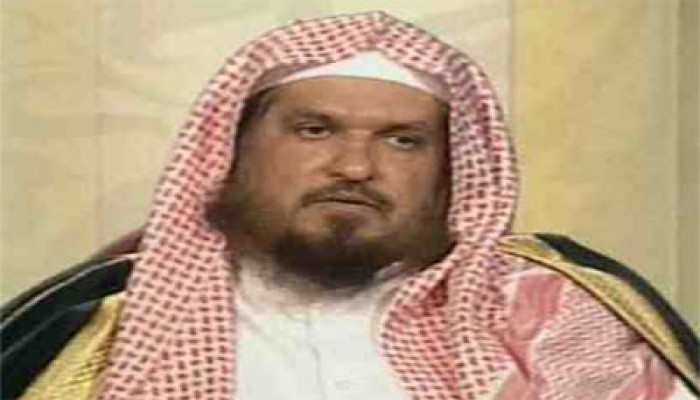 حامد العلي: السيسي يدفع المليارات في طائرات فاسدة ثم يتسول