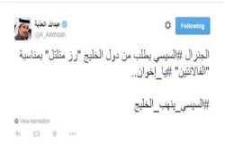 كاتب قطري: السيسي يريد "رز متلتل"