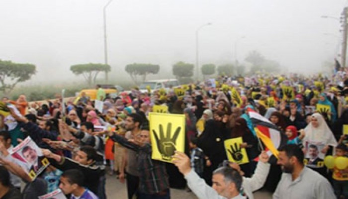 فيديو.. ثوار فاقوس يواصلون فعاليات "رفض تفويض القتل"