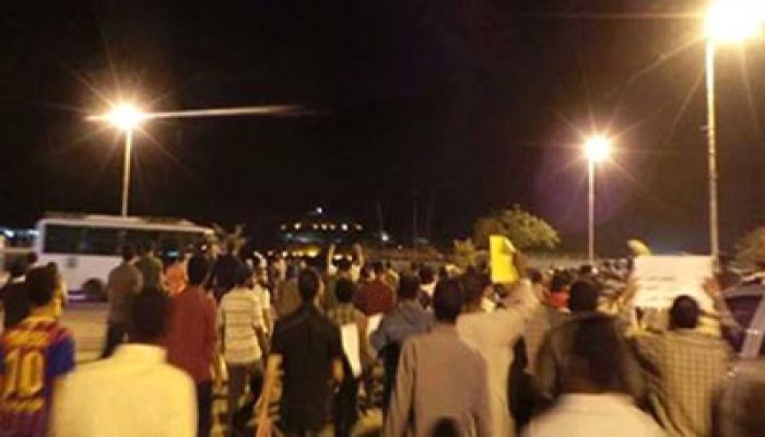 فيديو.. فراشة ليلية مفاجئة بالأقصر تندد بجرائم العسكر