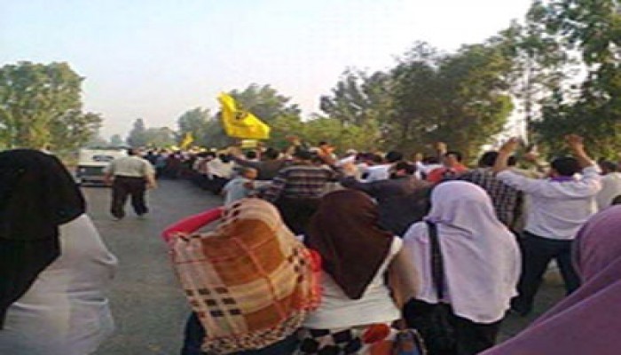 فيديو.. وقفة لثوار دسوق في أسبوع "تقدموا للحرية والكرامة"‏