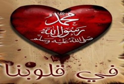 فيديو.. جماهير المغرب تشعل الملعب نصرة للرسول عليه السلام