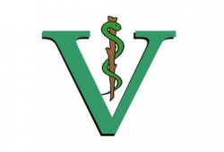 نقيب البيطريين: تجميد عضويتي و4 من أعضاء المجلس باطل