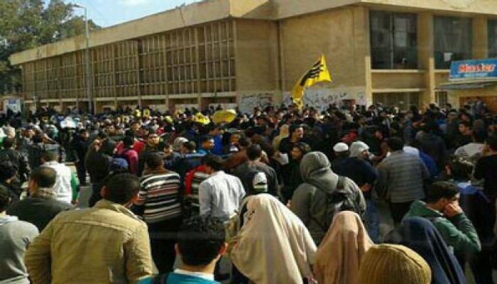 فعالية لطلاب علوم جامعة المنصورة تهتف بالحرية لزملائهم