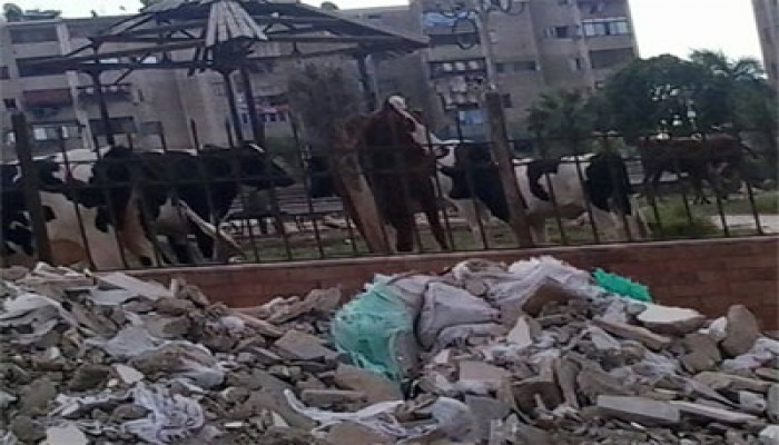 خراب الانقلاب يحول كبري حدائق بورسعيد الى حظائر للحيوانات