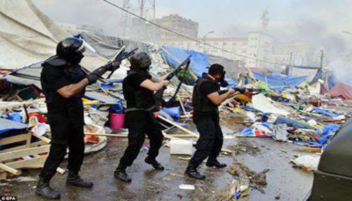 اليوم جلسة أممية بجنيف لمناقشة حقوق الإنسان بمصر