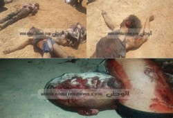 فيديو.. ثوار بطن أهريت ينددون بجرائم الانقلاب في سيناء
