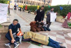 عرض فريزنج لطلاب المنوفية تضامنًا مع معتقلي وشهداء الكلية