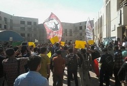 أكاديمية القاهرة تنتفض وفاءً لدماء شهيد الإسكندرية