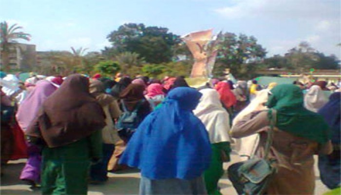 طالبات الأزهر يتظاهرن في مدينة نصر رفضًا لقمع الطلاب